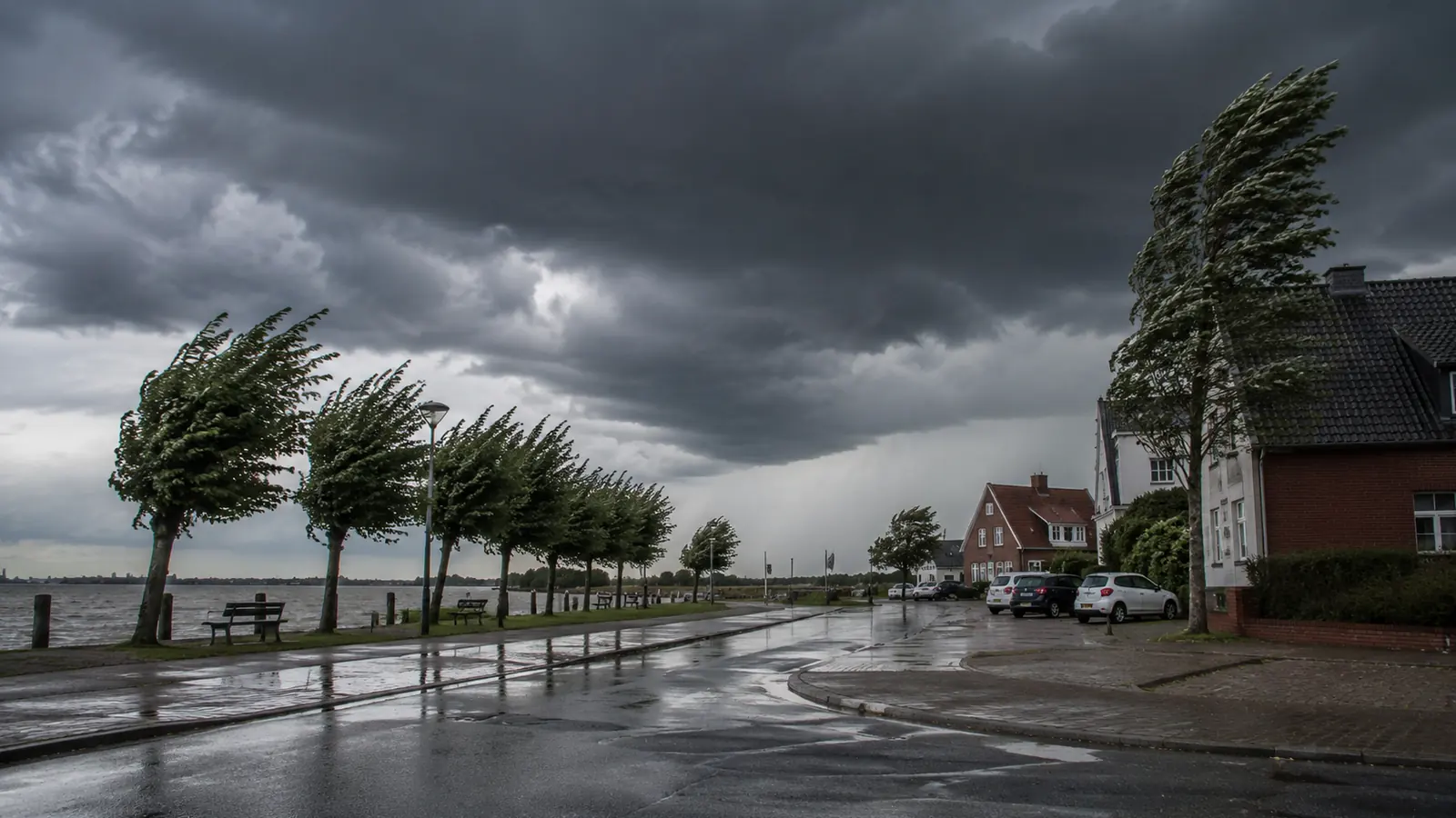 Stark windbewegte Bäume an einer nassen Uferstrasse unter dunklen Gewitterwolken