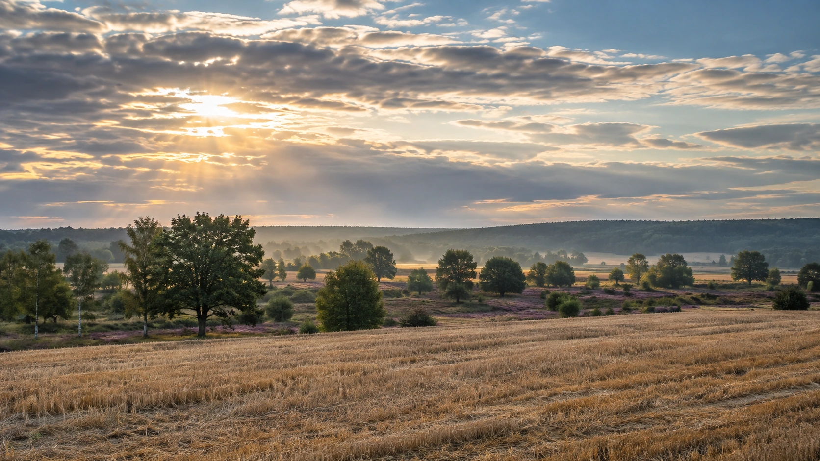 Weite norddeutsche Feldlandschaft mit spätsommerlichem Licht und aufgelockerter Bewölkung.